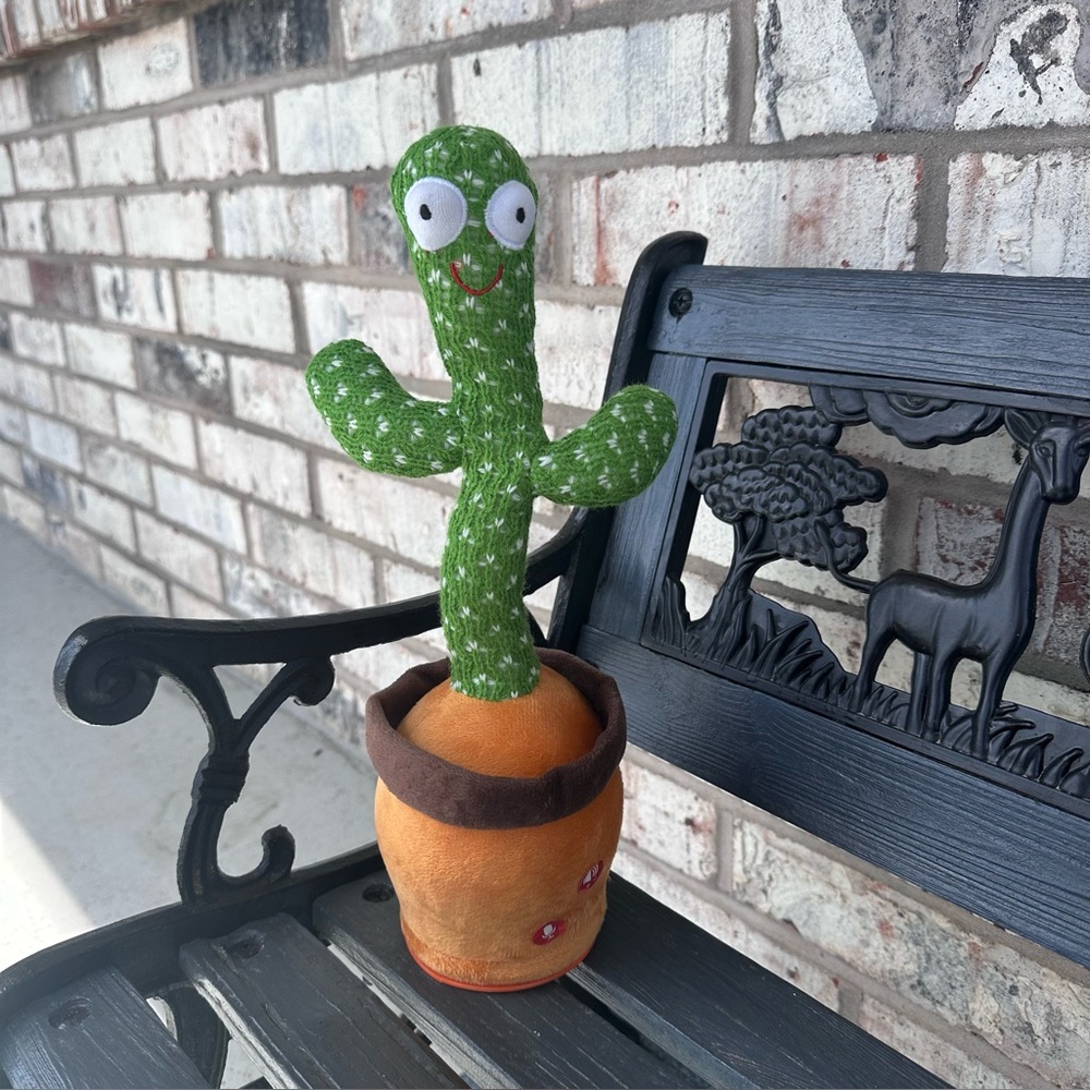 13” Dancing & Mimicking Cactus | Like New